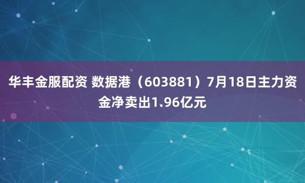 华丰金服配资 数据港（603881）7月18日主力资金净卖出1.96亿元