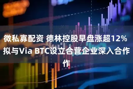 微私寡配资 德林控股早盘涨超12% 拟与Via BTC设立合营企业深入合作